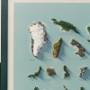 Största öarna i världen topografisk karta, detaljbild