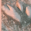 Sälenfjällen topografisk karta, detaljbild
