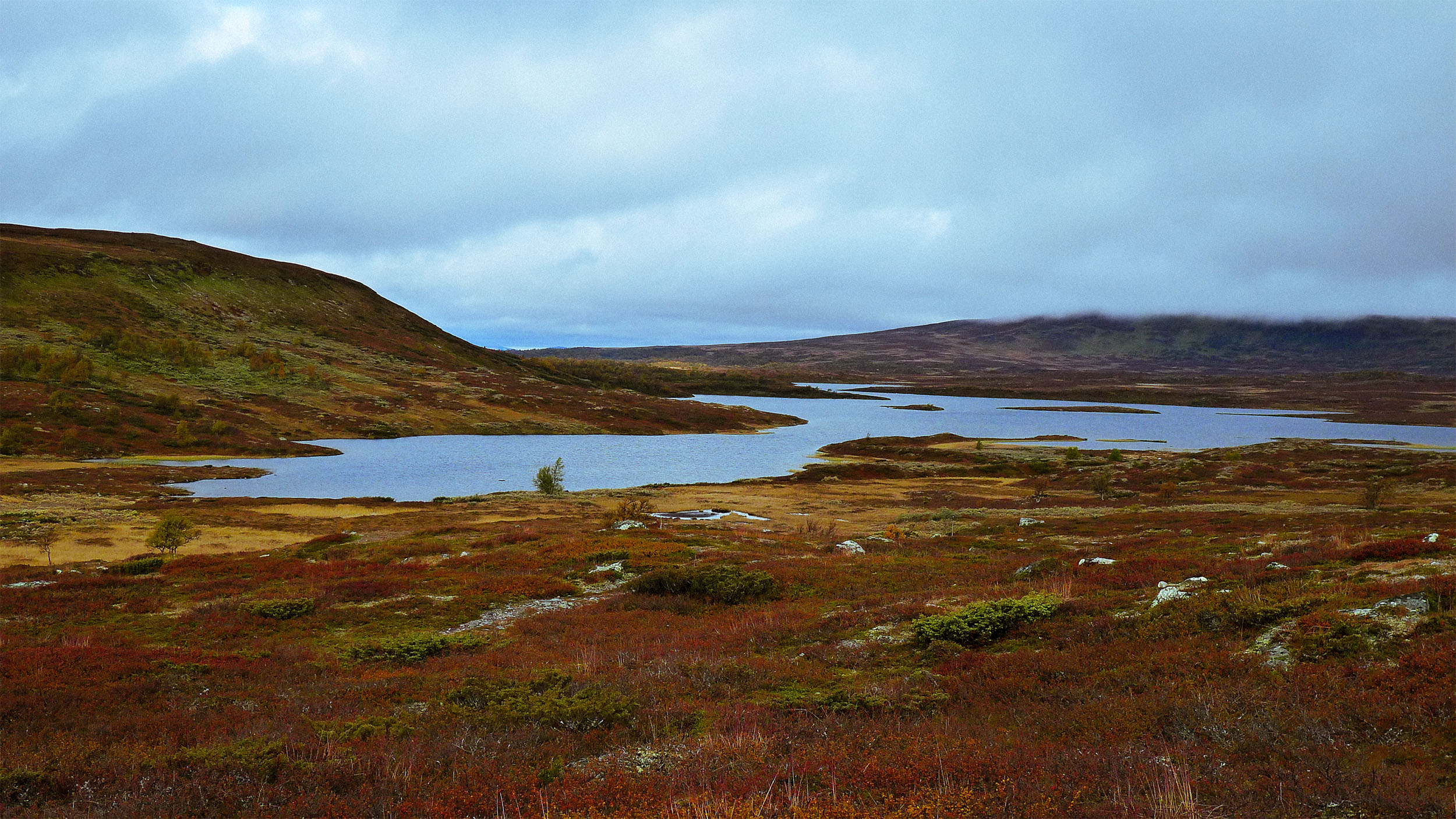 Svenska fjäll